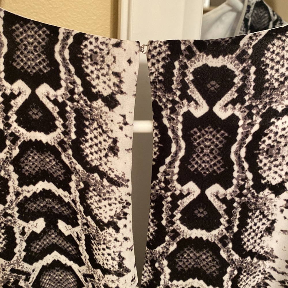 Express dress - Picture 6 of 6